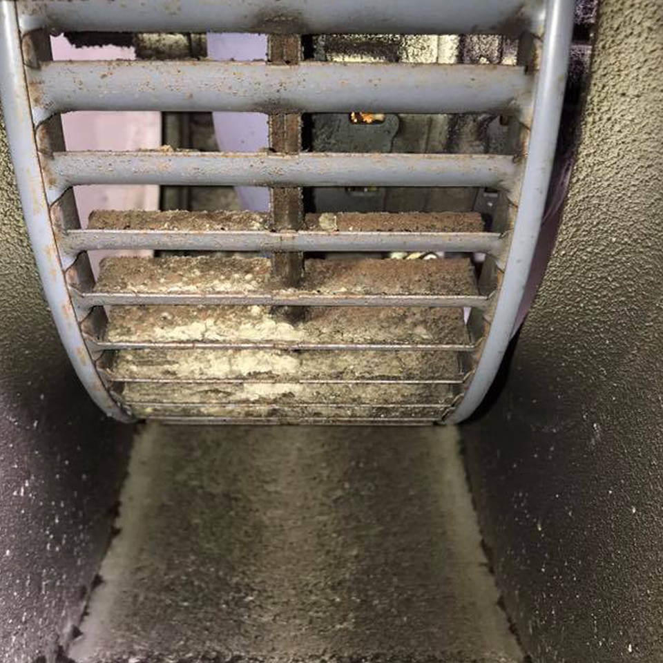 AIR DUCT CLEANING CAN HELP ALLERGY SYMPTOMS?